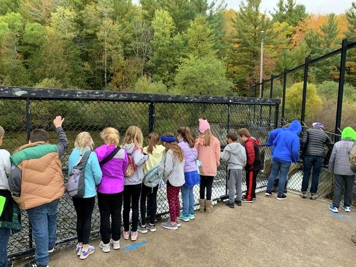 Nothing fishy about this hands on learning