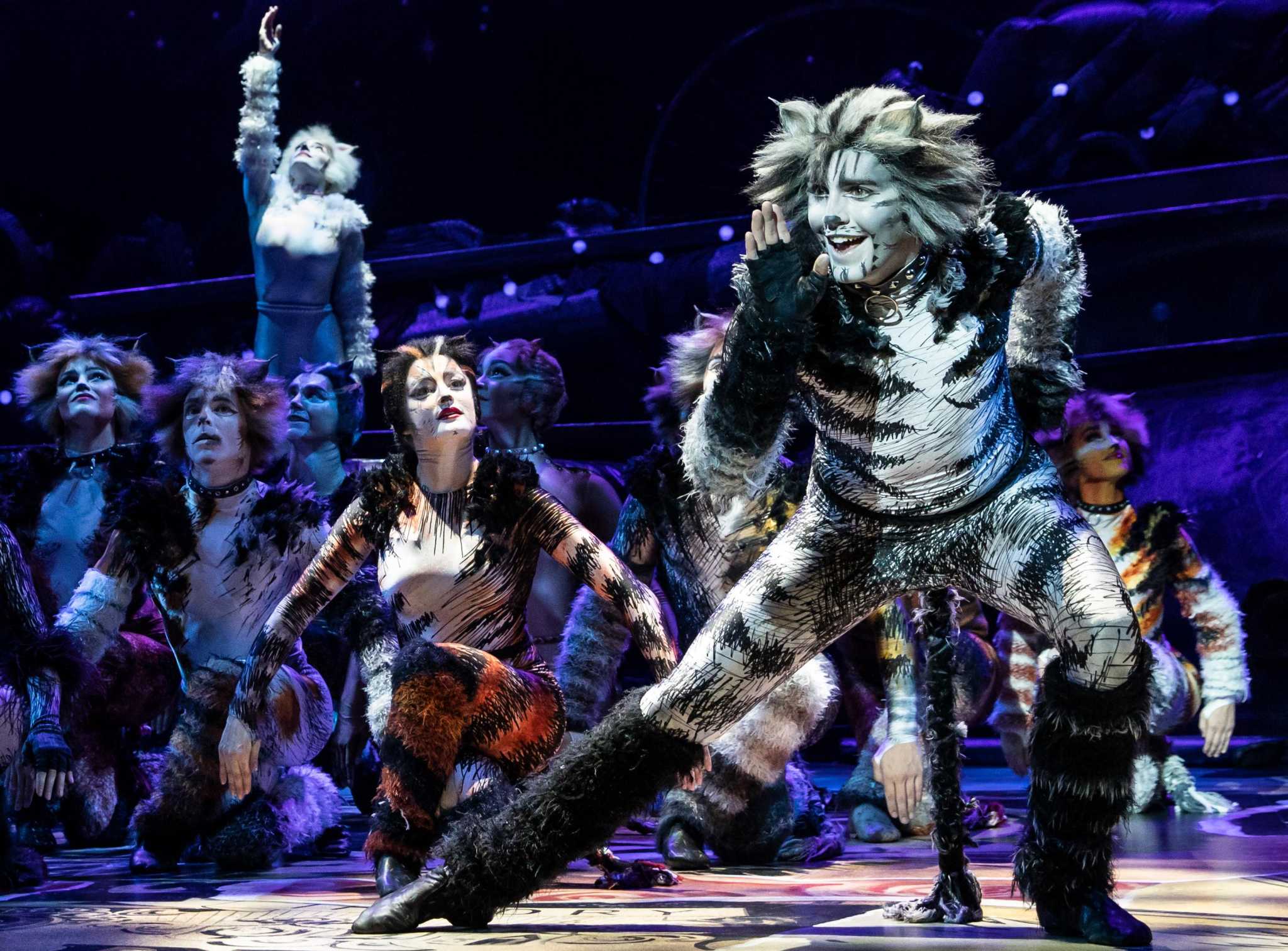 Cats' opens Friday at Susquehanna Stage; see the elaborate costumes, makeup, Entertainment