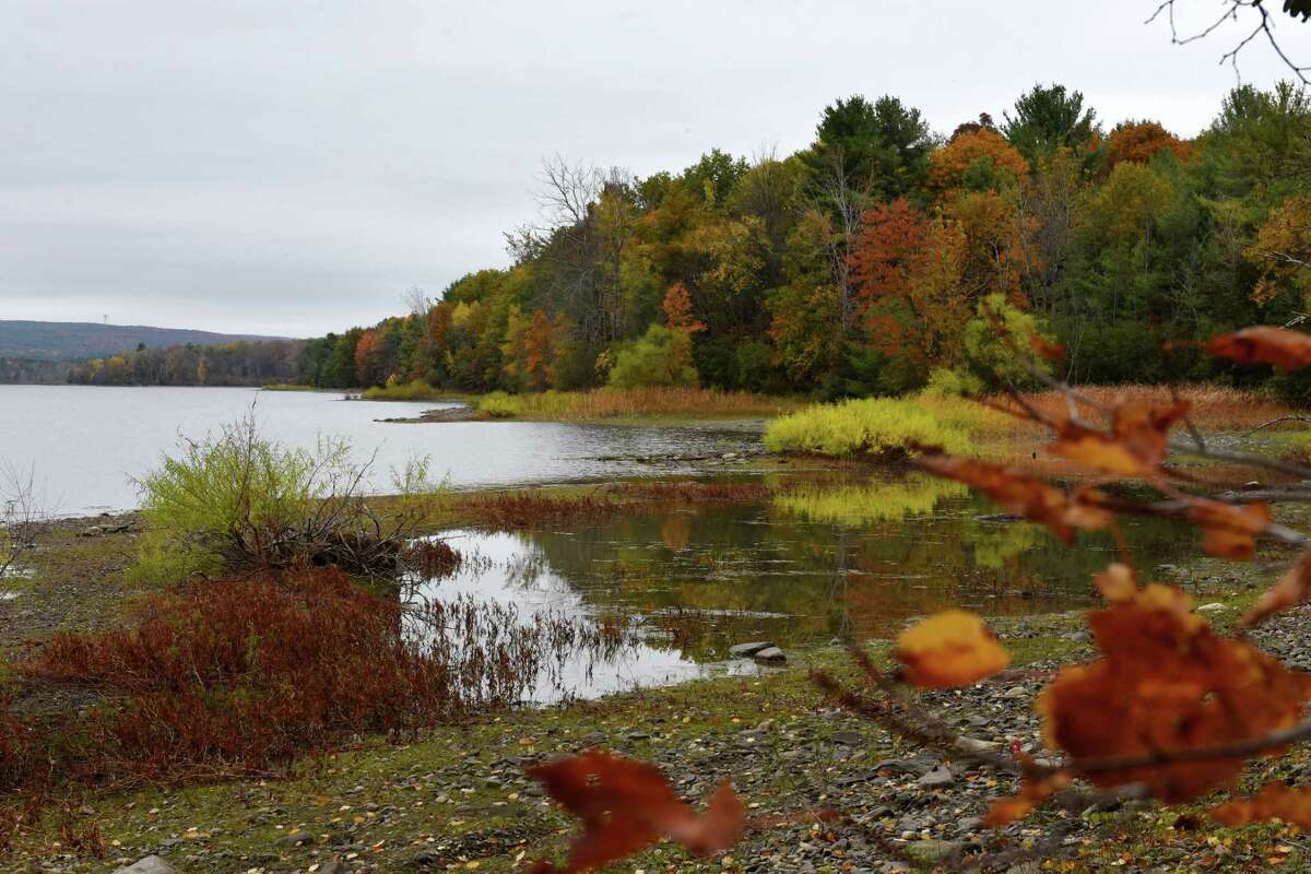Albany's Alcove Reservoir cashes in on carbon credit sales