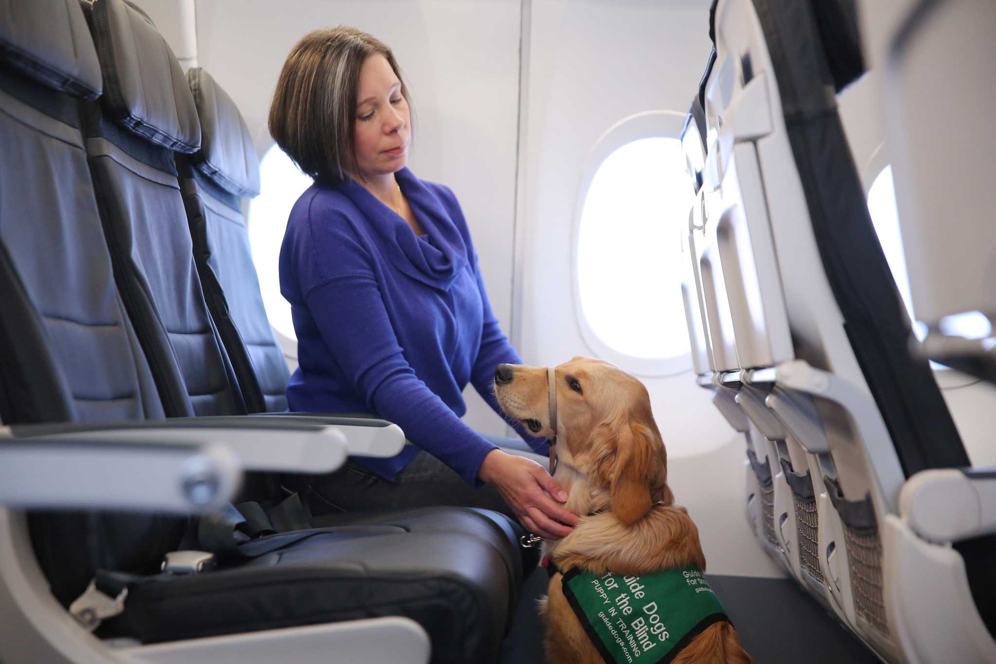 can guide dogs go on planes