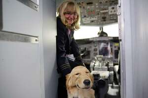 Guide dog flight training a step toward further accessibility
