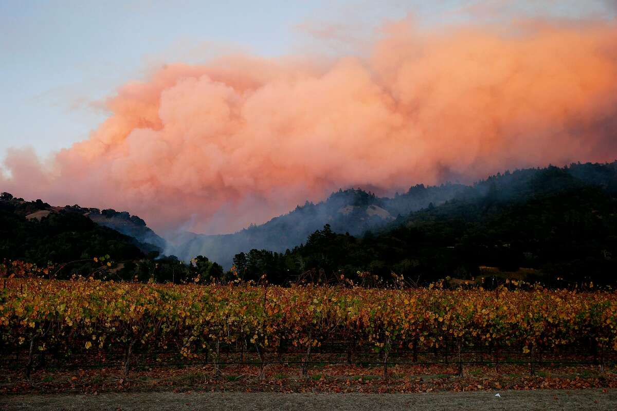 A vineyard on Red Winery Road and the Kincade Fire seen on Friday, Oct. 25, 2019, east of Geyserville, Calif.