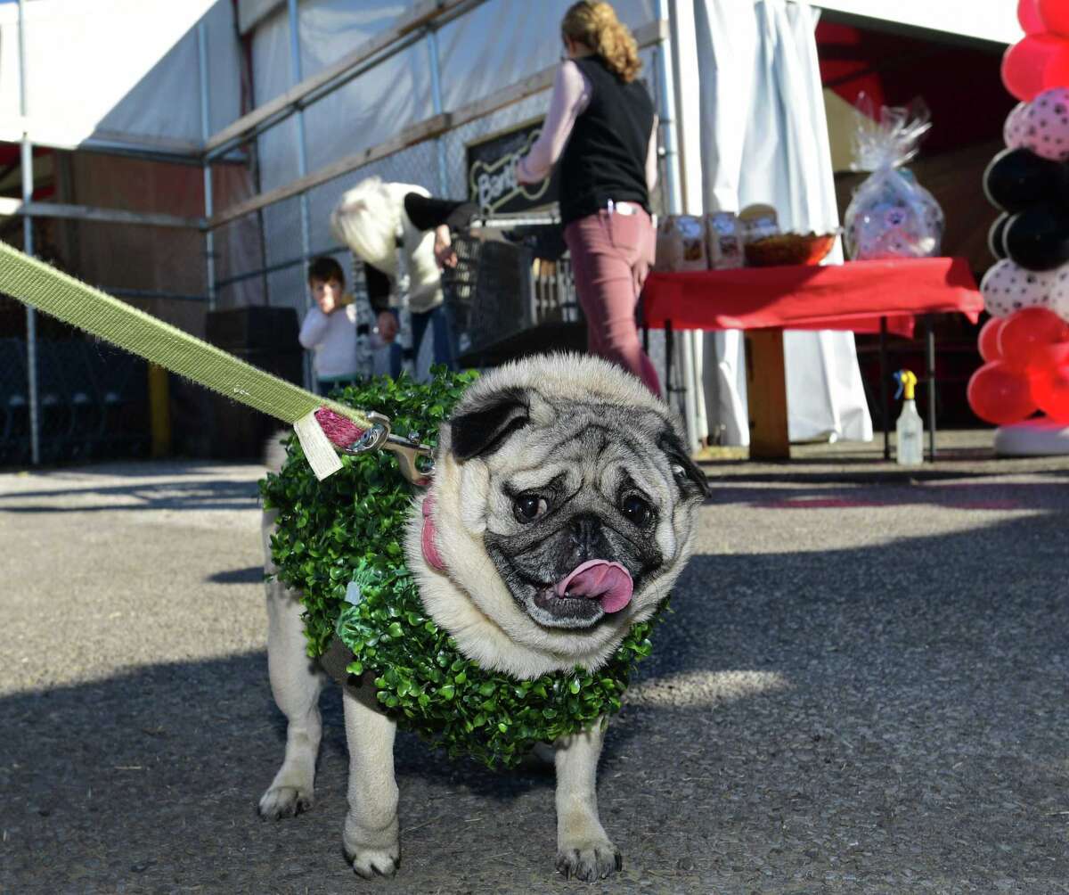 In photos Halloween weekend 2019