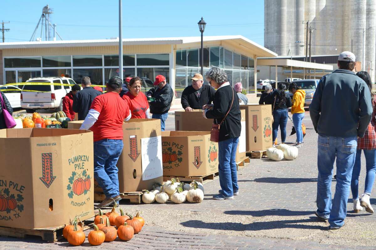 Floydada pumpkins supplies running low as Halloween approaches