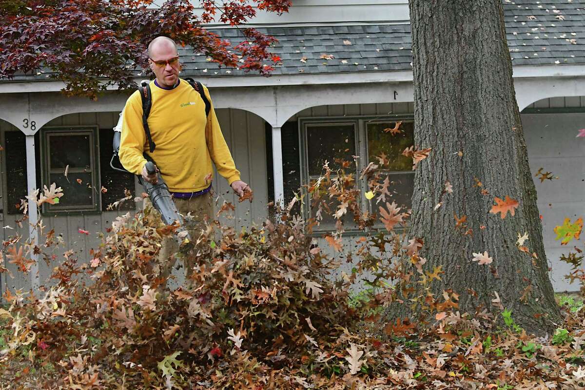 Jason Gough's forecast It's clone club for the weather