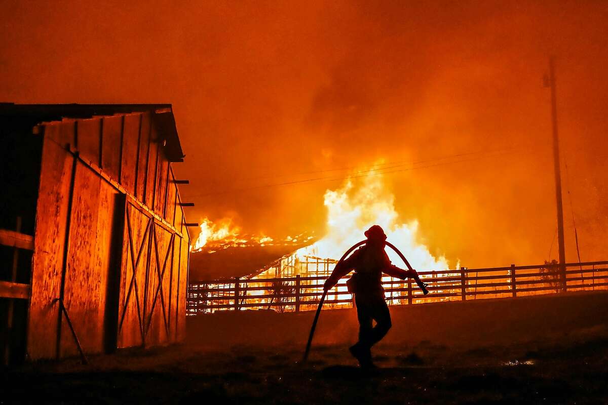 消防队员从帕洛阿尔托发动机有限公司65年,拯救一个农场粉笔山上路,温莎附近的加州周日,2019年10月27日。