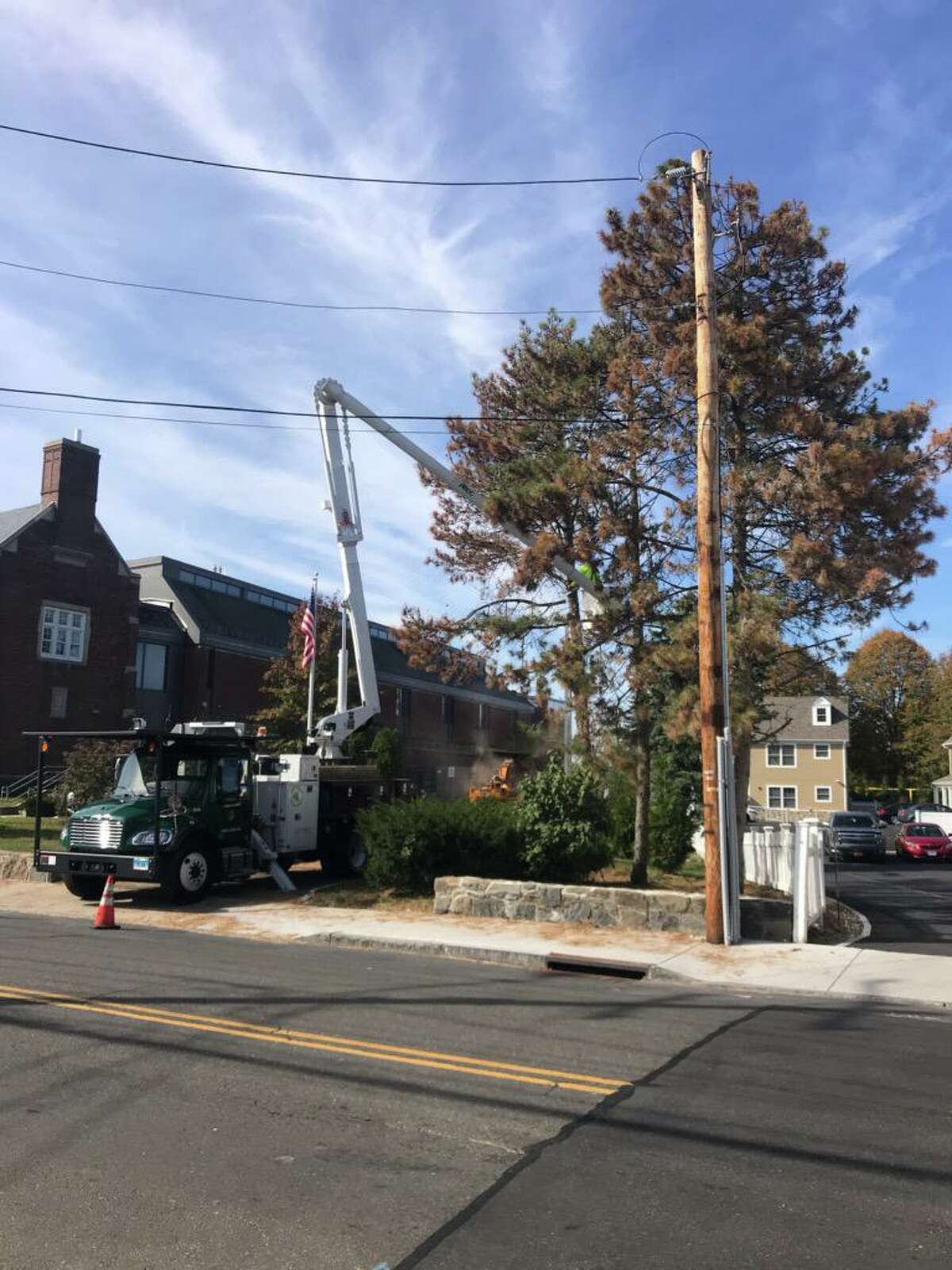 The town of Greenwich took down three dead and dying black pine trees between Hamilton Avenue School and The Two Door Restaurant over the weekend. These trees had previously been saved from the ax in April when The Pecora Brothers requested their removal for a housing project they were working on at the time.