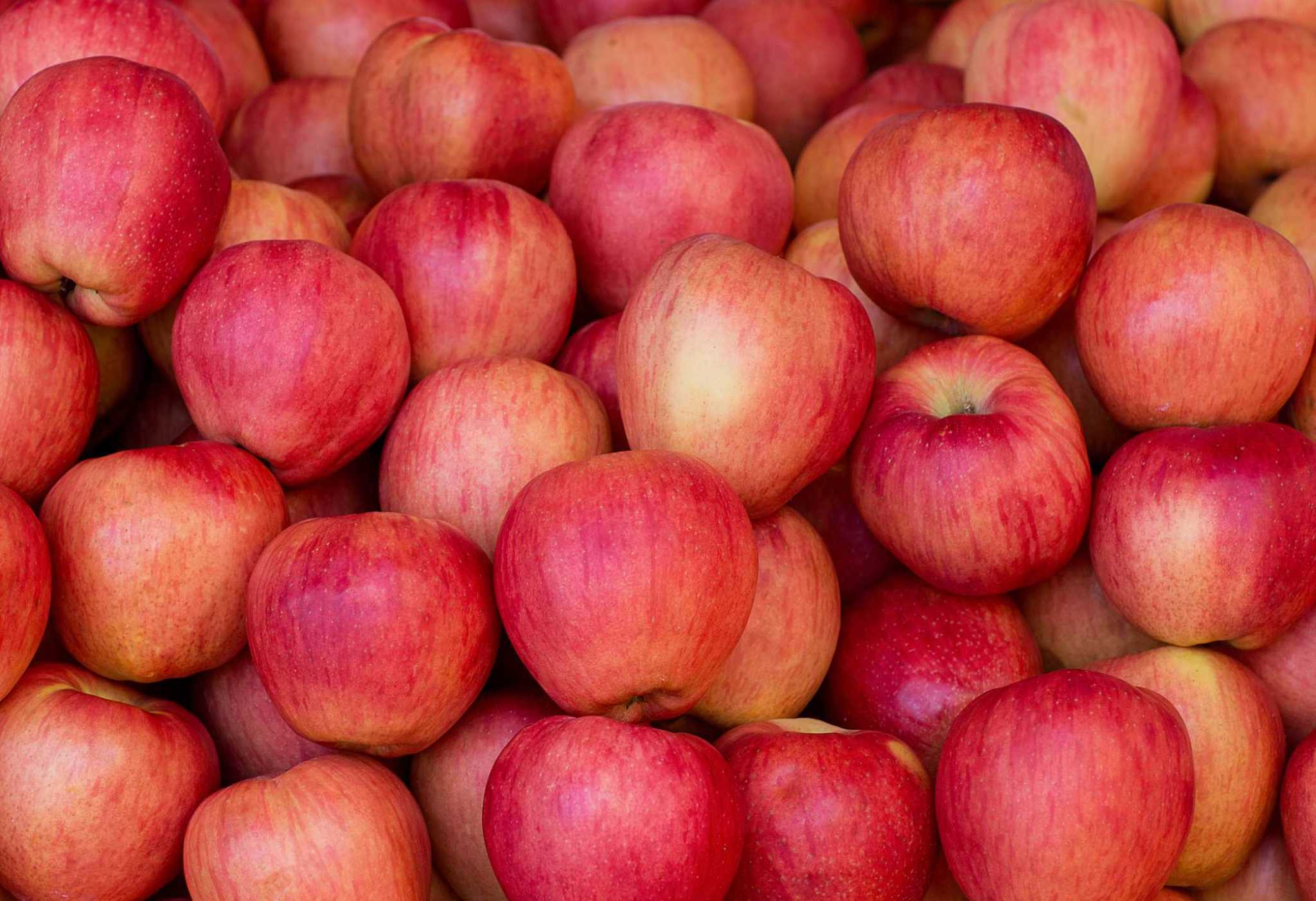 Apples being recalled for possible listeria contamination