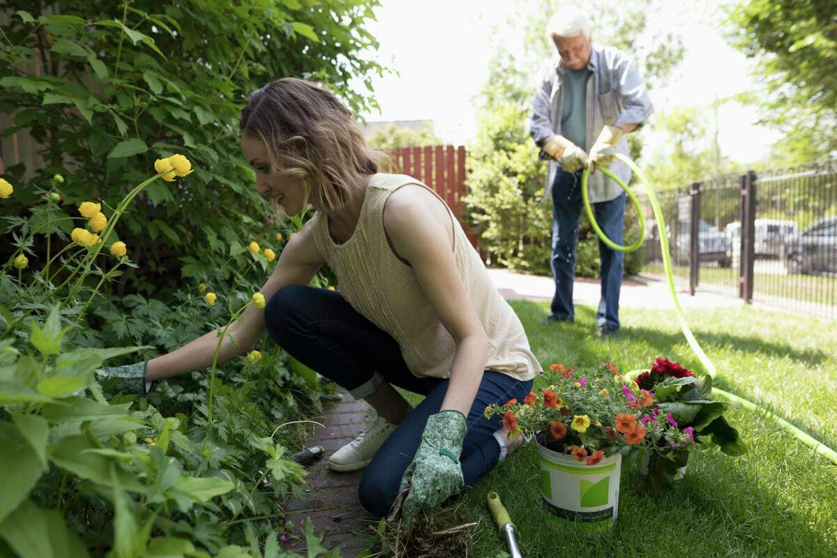 Looking to learn something new or pick up a gardening trick or two? Check out our Something New listings.