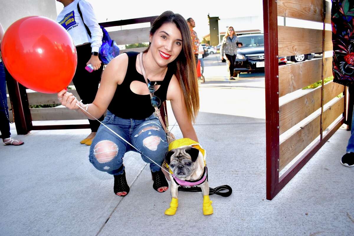 Laredo's furry friends got a chance to don their Halloween attire as Golondrina Food Park hosted a Howl-o-ween pet costume contest Sunday.