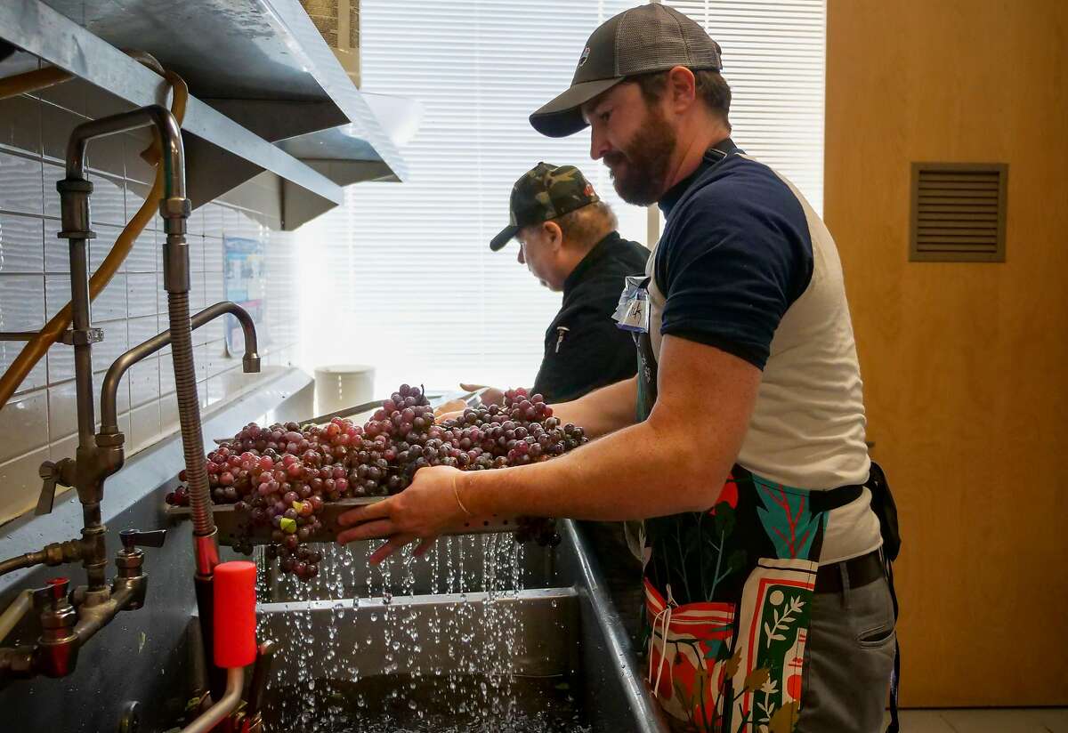 Volunteers Bill Govan, left and Nick Canafax wash grapes as they help with the nonprofit Sonoma Family Meal prepare food for evacuee centers and first responders, Tuesday Oct. 29, 2019, in Petaluma, Ca.