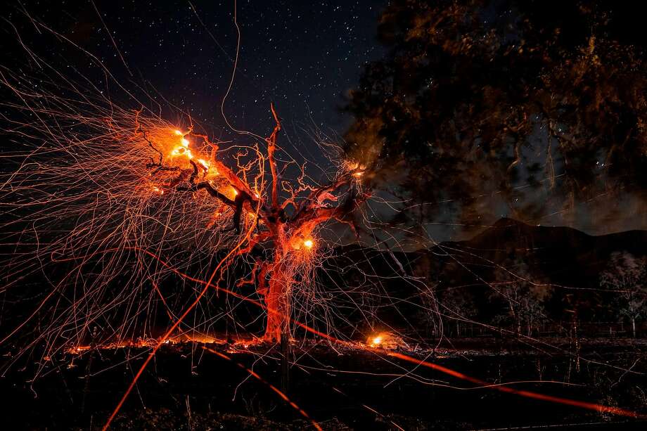 A long exposure photograph shows a tree burning during the Kincade fire off Highway 128, east of Healdsburg, California on October 29, 2019. Photo: Philip Pacheco, AFP Via Getty Images