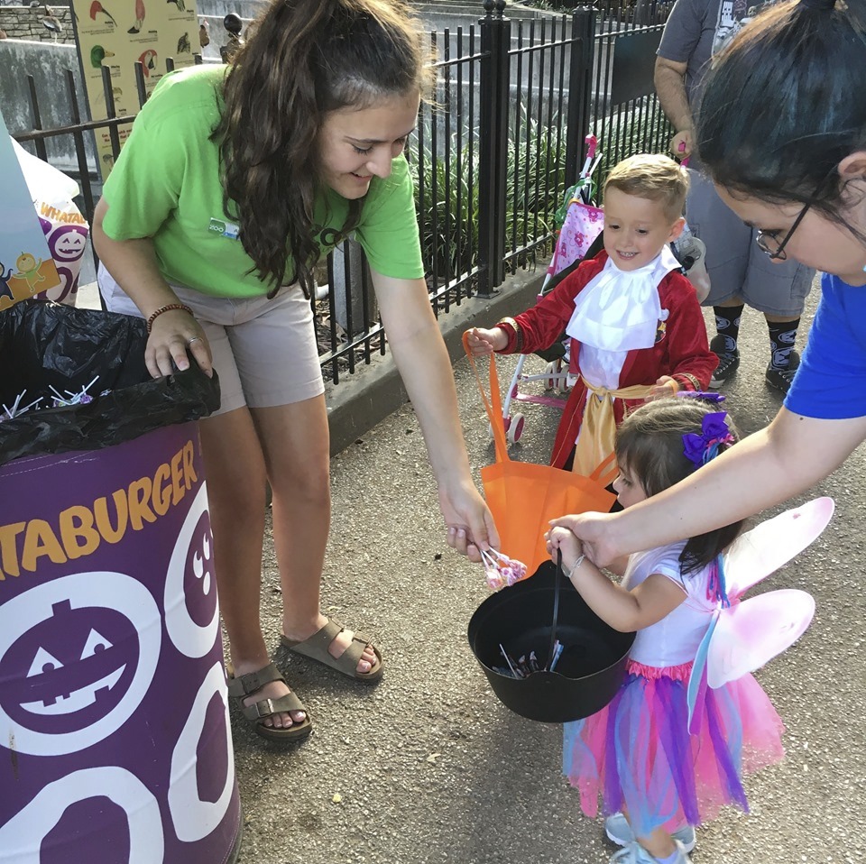 San Antonio Zoo offering four hours of TrickorTreating this Halloween
