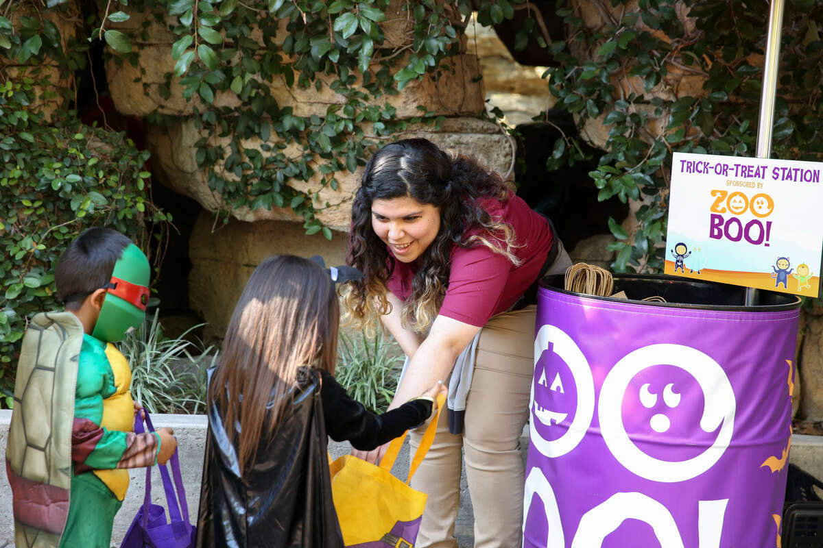 San Antonio Zoo offering four hours of TrickorTreating this Halloween