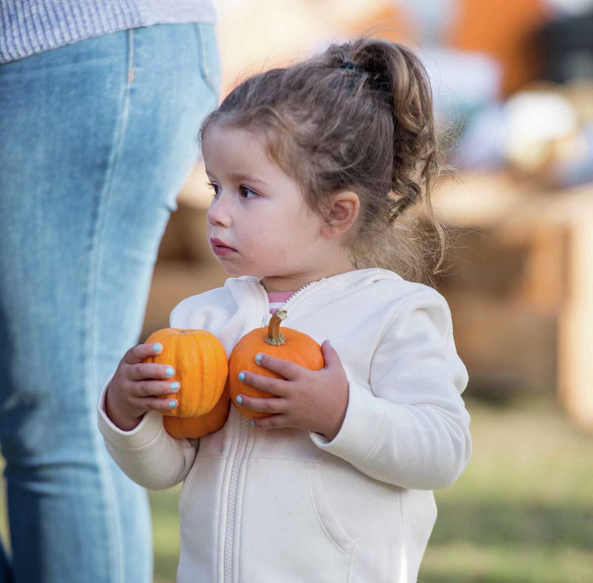 Riley Papadopoulis, 3, finds the perfect pumpkins at Children's Festival for Unicef at the Jones Family Farm on Saturday.