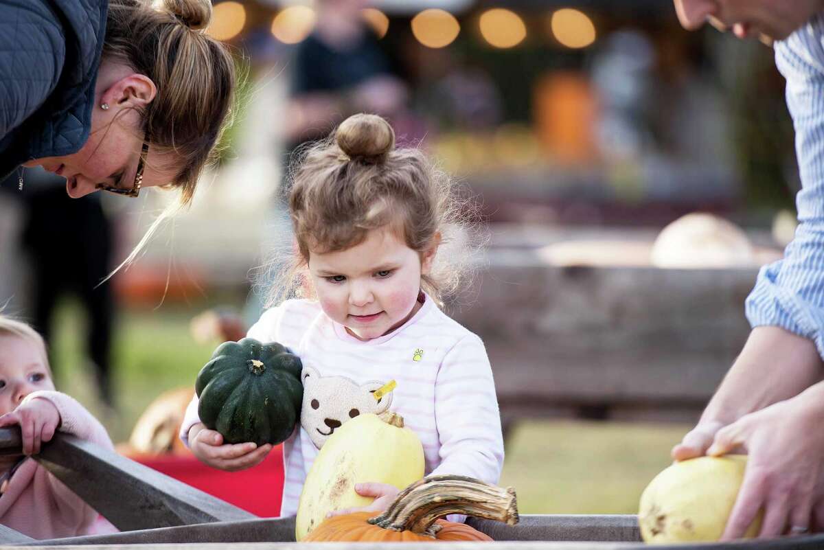 Grace Kohart finds the perfect pumpkin at Jones Family Farm in Shelton, Conn. on Saturday, Oct. 26, 2019. The farm held its Children's Festival for UNICEF and an initiative for breast cancer awareness over the weekend. Funds from the event will be shared with both UNICEF and the Valley Goes Pink program. Grace Kohart finds the perfect pumpkin at Jones Family Farm in Shelton, Conn. on Saturday, Oct. 26, 2019. The farm held its Children’s Festival for UNICEF and an initiative for breast cancer awareness over the weekend. Funds from the event will be shared with both UNICEF and the Valley Goes Pink program.