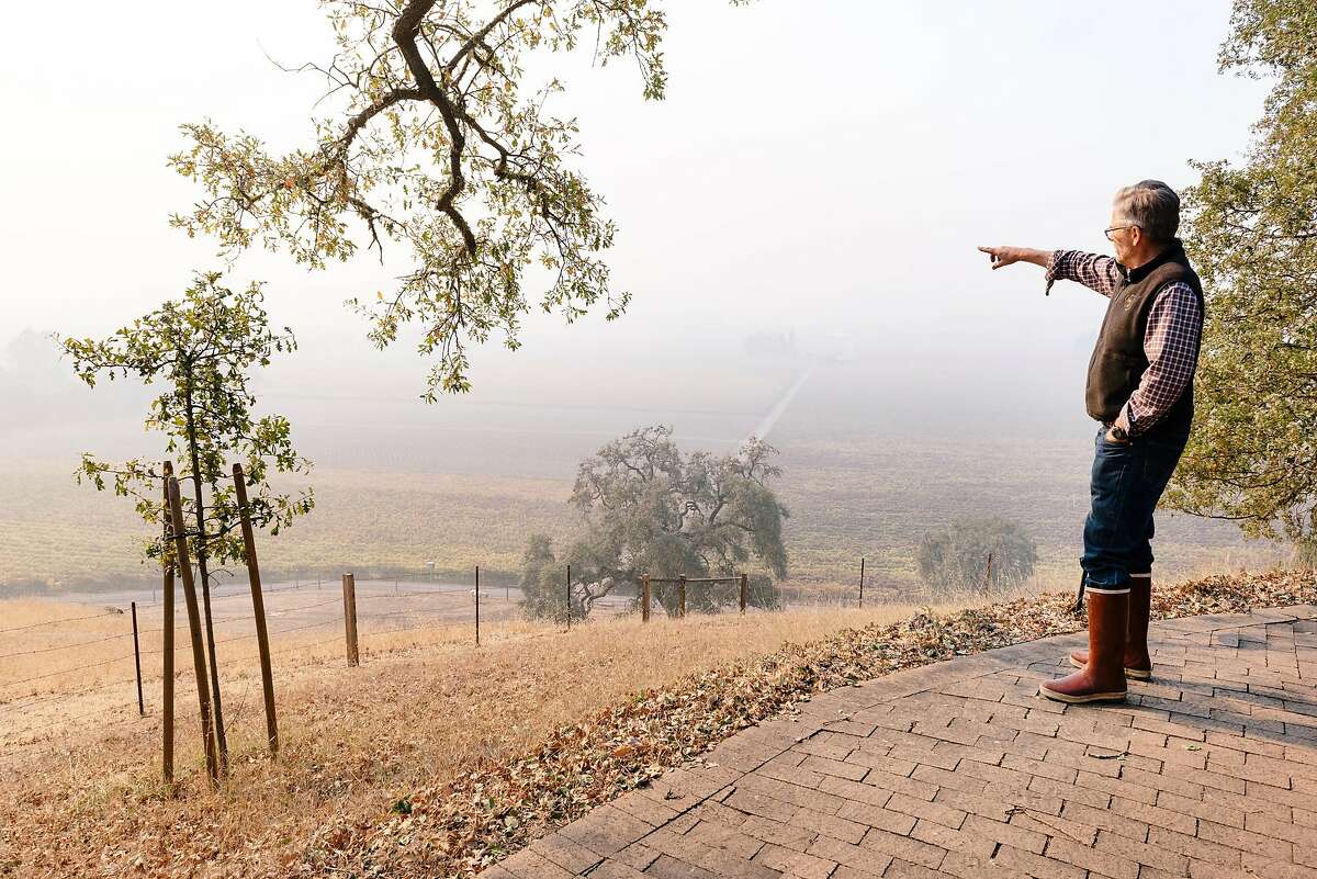 Smoke from the nearby Kincade Fire hang over the vineyard as Parke Hafner, owner and winemaker of Hafner Vienyards, looks out over his property in Healdsburg, California, on Tuesday, Oct. 29, 2019.