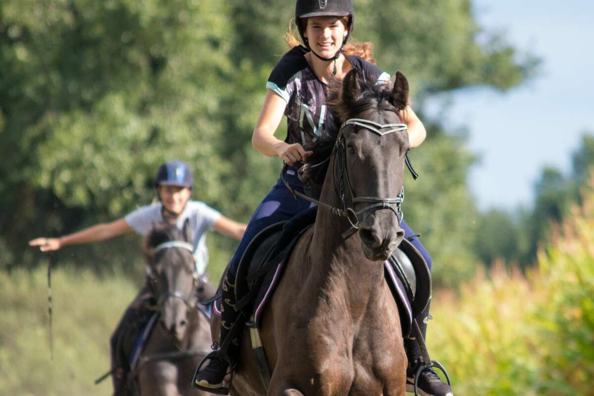 Horses in the back: Now you can ride a horse in Golden Gate Park