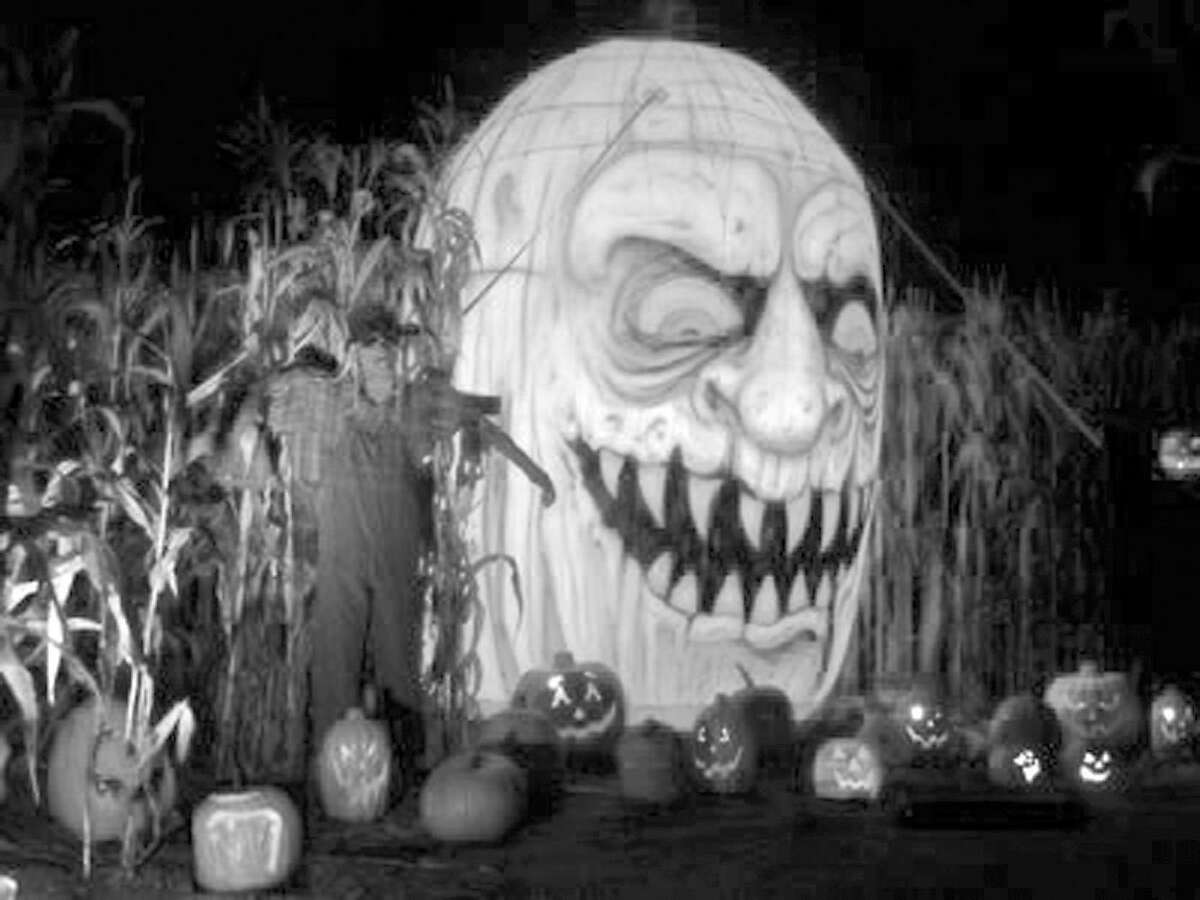 A Jack O'Lantern from Larsons Haunted Corn Maze wears a spooky grin.