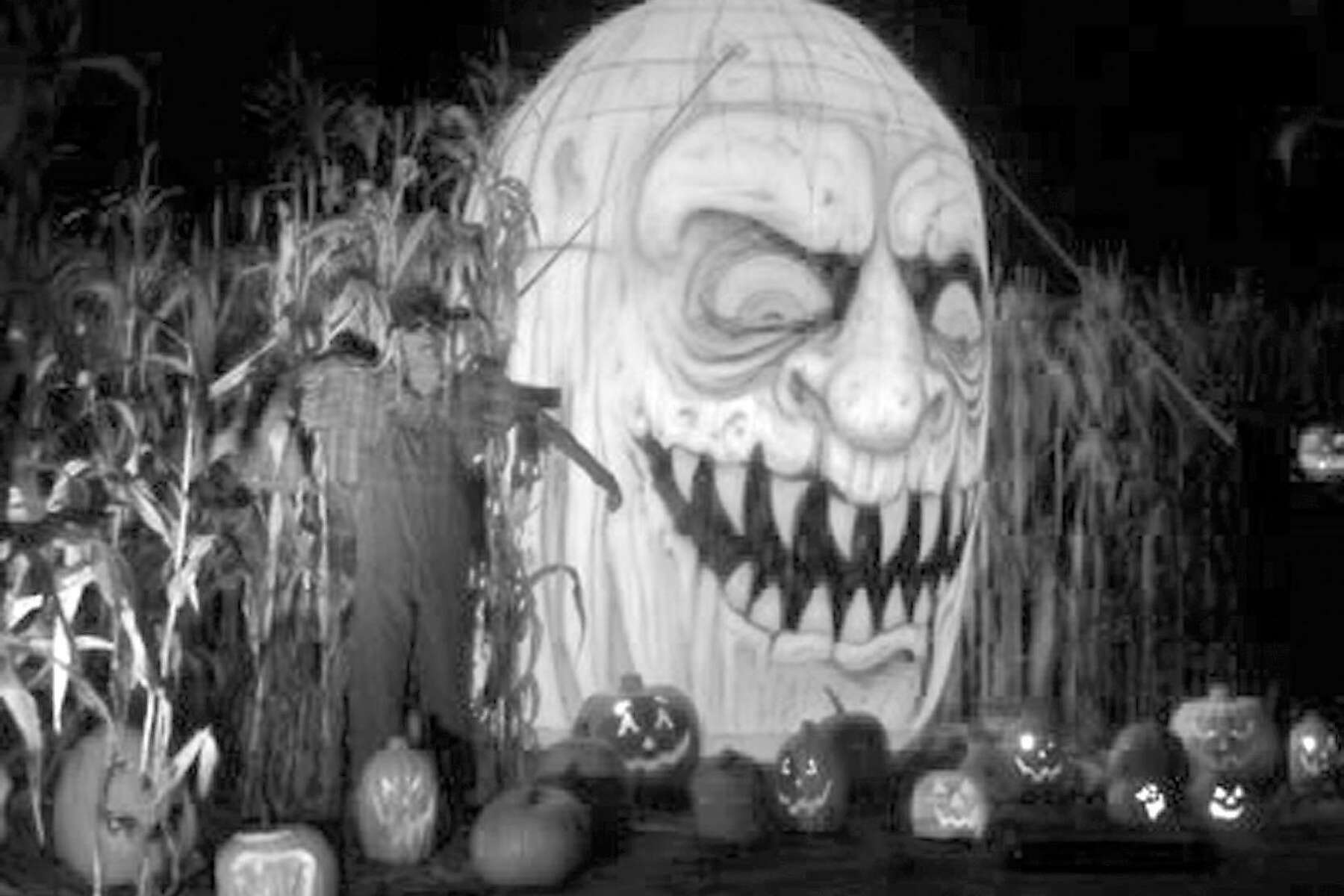 49ers Face Spooky Halloween Matchup Beware The Curse Of Winning