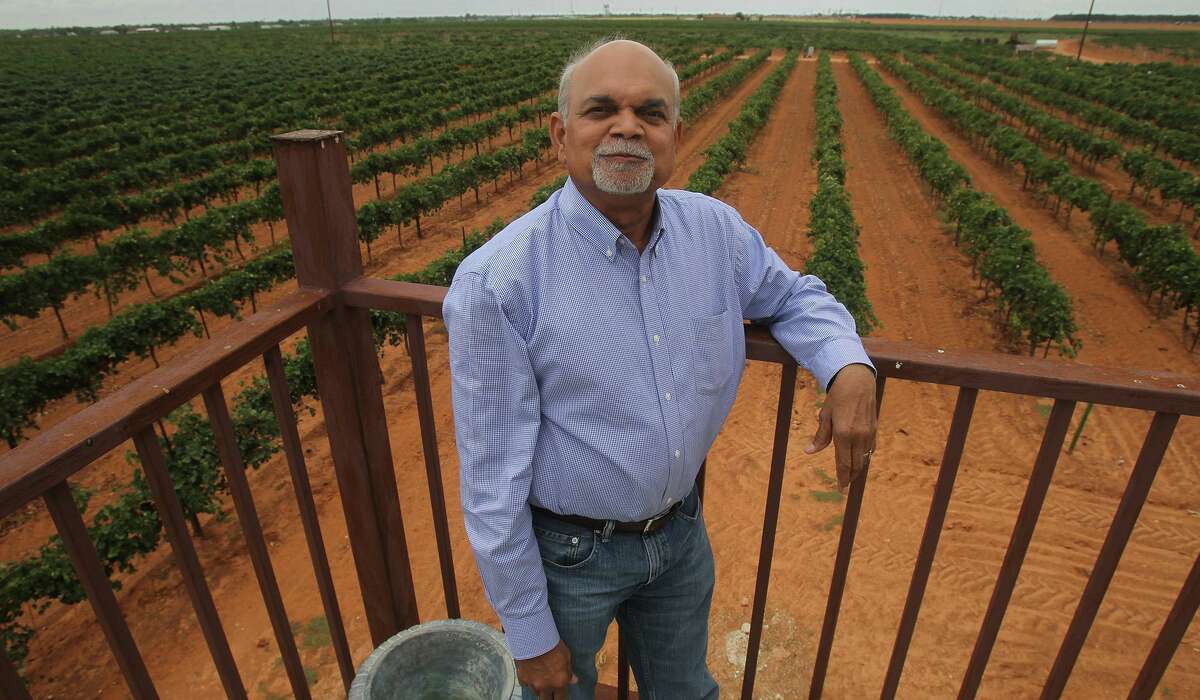 Vijay Reddy owns Reddy Vineyards in Terry County, Texas and has more than 200 acres planted with grapes. Reddy was growing peanuts and cotton in the past, but is now 100 percent vested in grape growing for the wine industry. Reddy is a soil scientist and grows grapes for wineries such as Becker Vineyards, Llano Estacado, Caprock, Brushy Creek and many more.