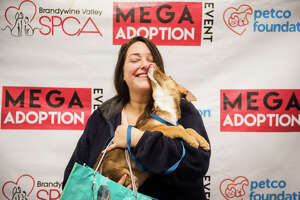 Houston to host mega pet adoption event with 14 shelters, rescues
