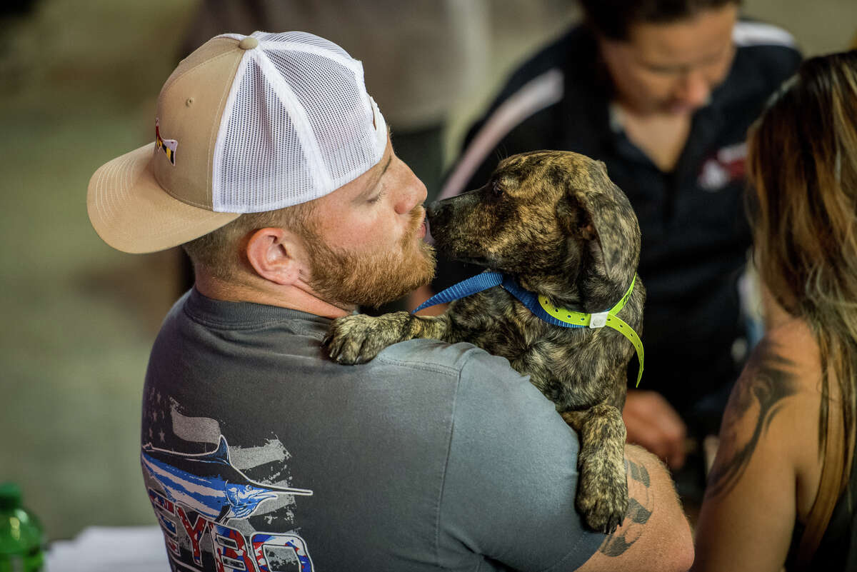 Mega pet adoption event headed to downtown Houston next month