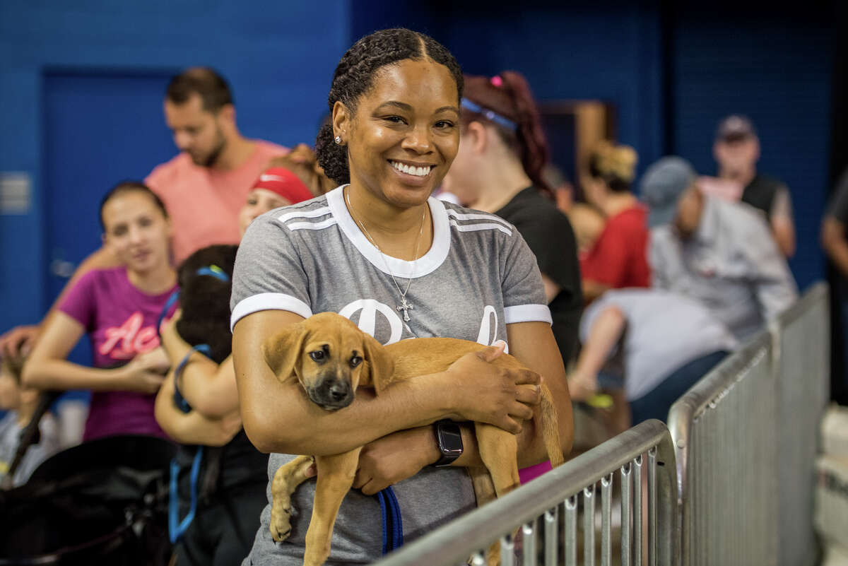 Mega pet adoption event headed to downtown Houston next month