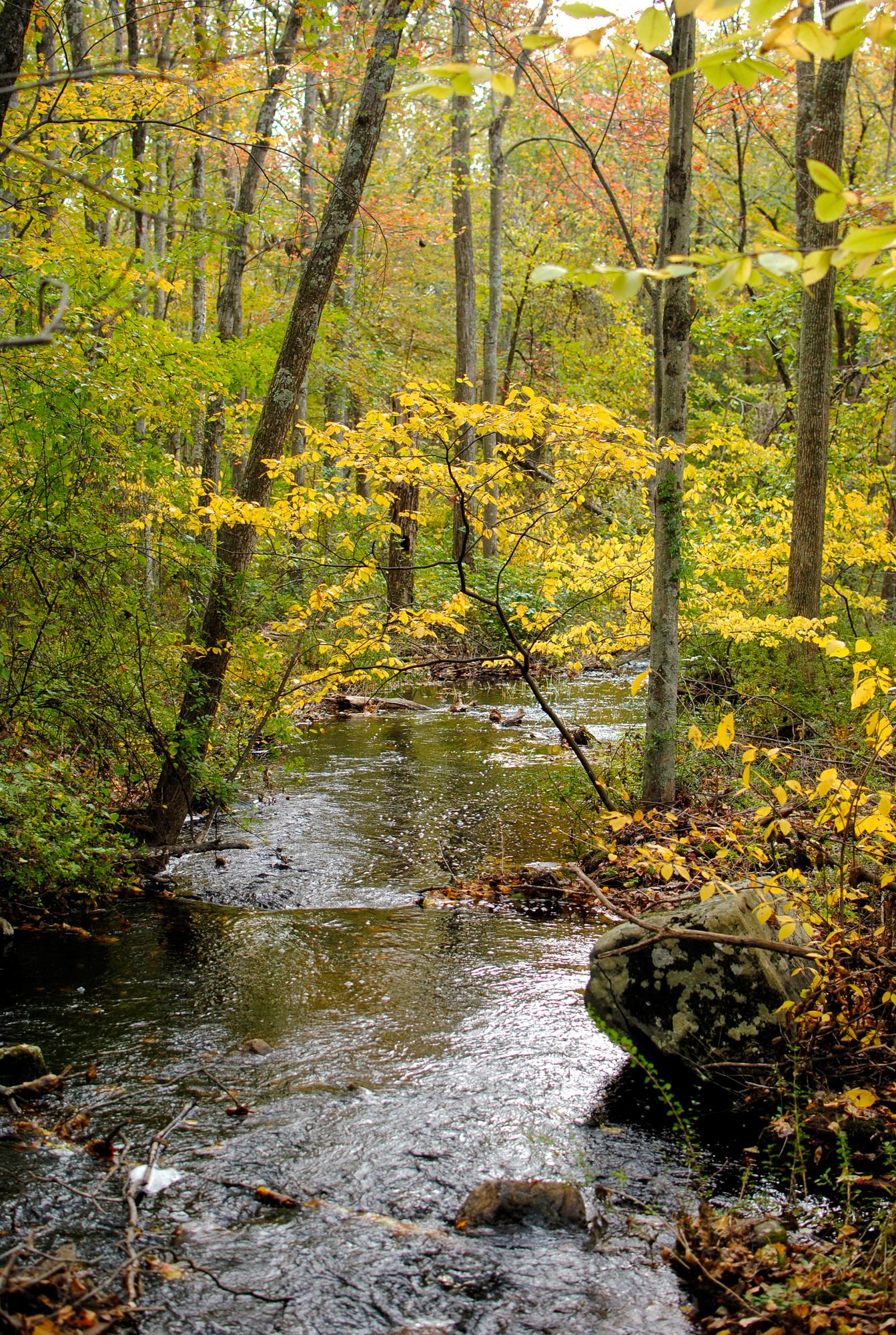 Devil's Den preserve expands by 77 acres