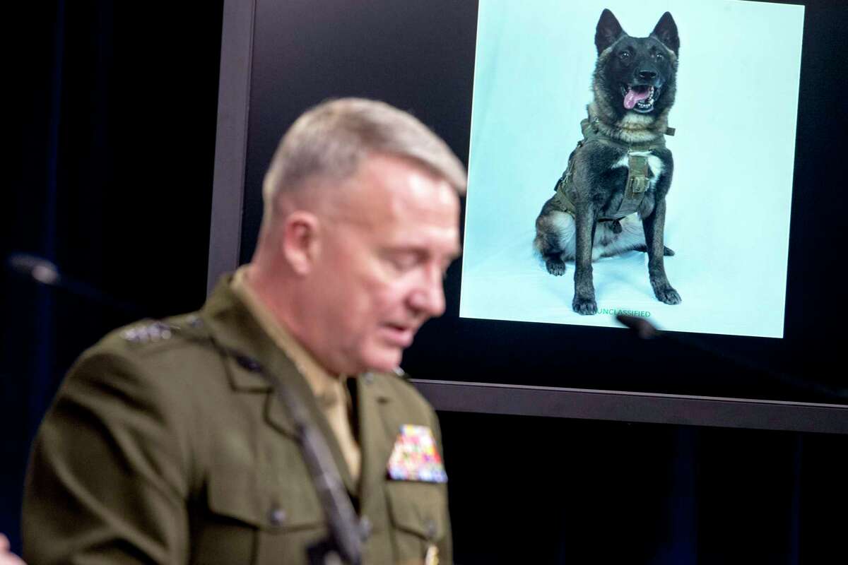 A working military dog is displayed on a monitor as U.S. Central Command Commander Marine Gen. Kenneth McKenzie speaks at a joint press briefing at the Pentagon in Washington, Wednesday, Oct. 30, 2019, on the Abu Bakr al-Baghdadi raid. (AP Photo/Andrew Harnik)