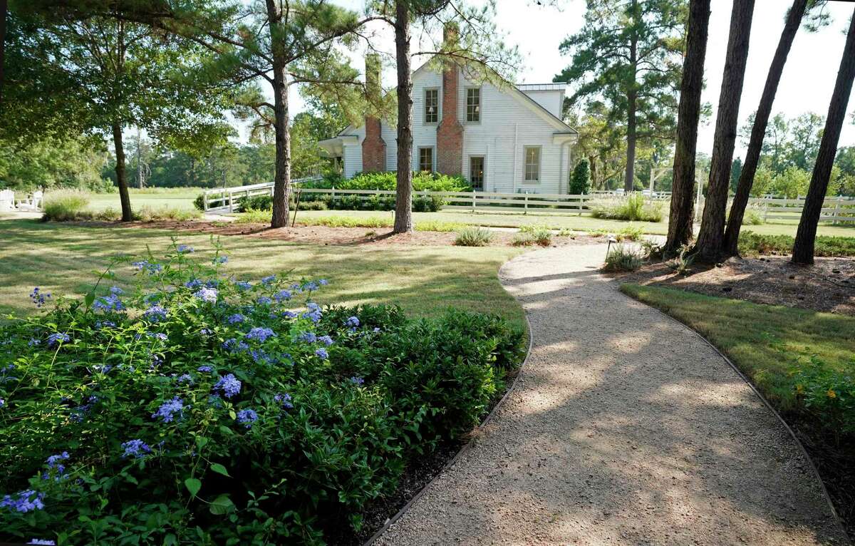 A chance to breathe the fresh air among the wildflowers in Willis