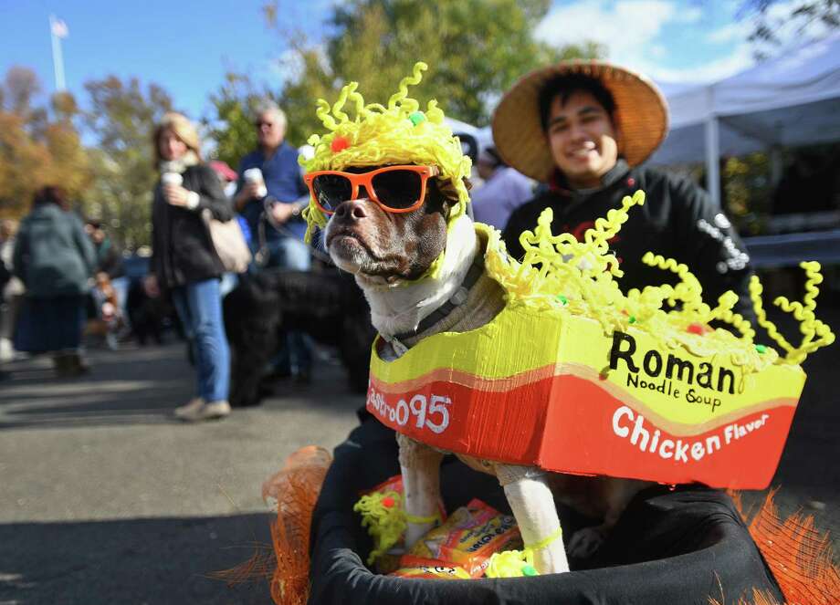 Dogs Turn Out For The Howl Prowl In Greenwich Greenwichtime