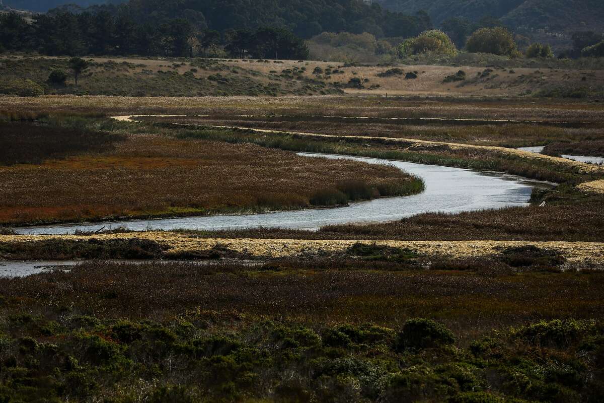 A view of the Pescadero marsh natural preserve in Pescadero, California, on Wednesday, Oct. 16, 2019.