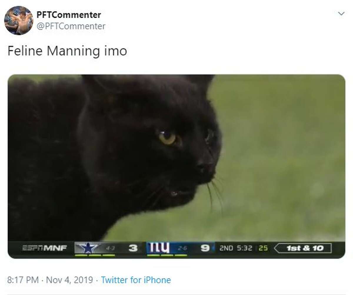 The black cat from Monday night's Cowboys-Giants game is the