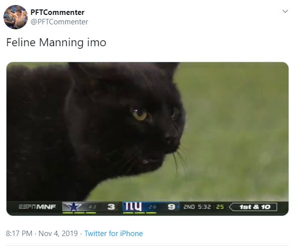 Memes celebrate a black cat during Giants' loss to Cowboys