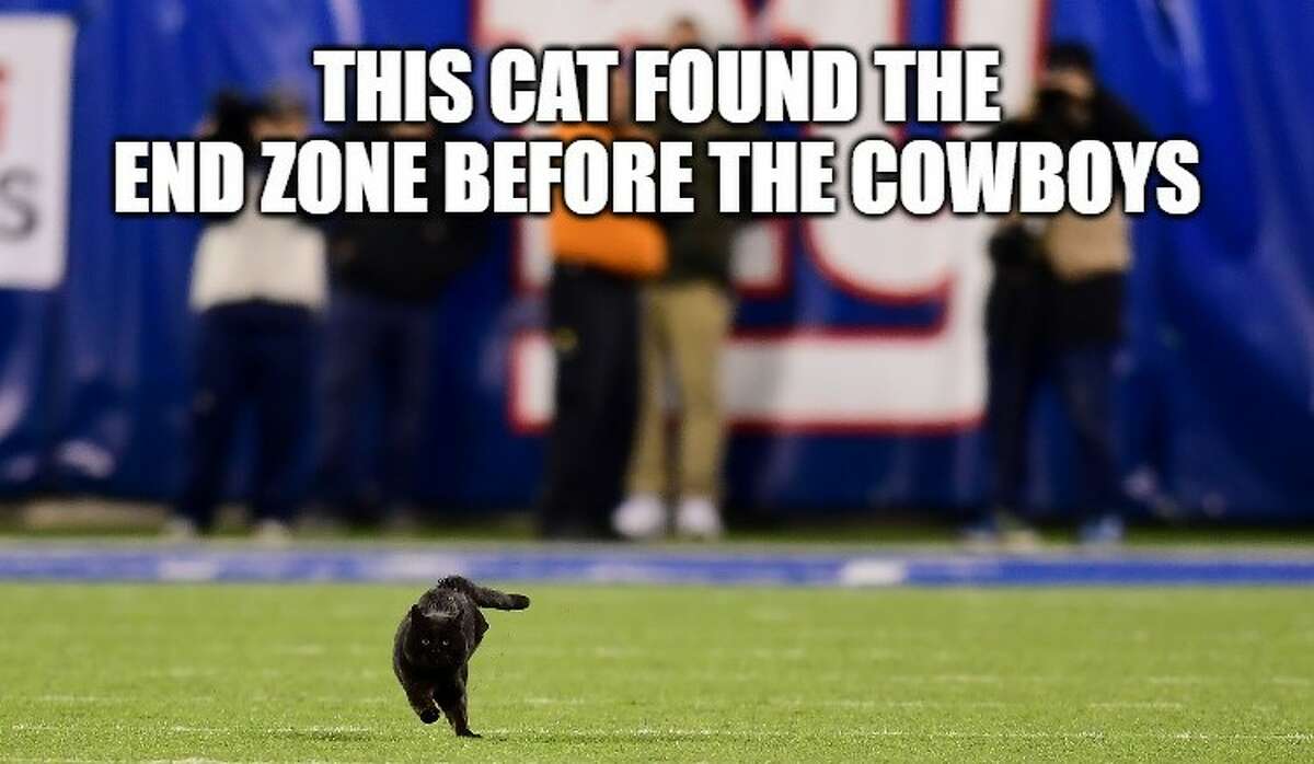 Memes celebrate a black cat during Giants' loss to Cowboys