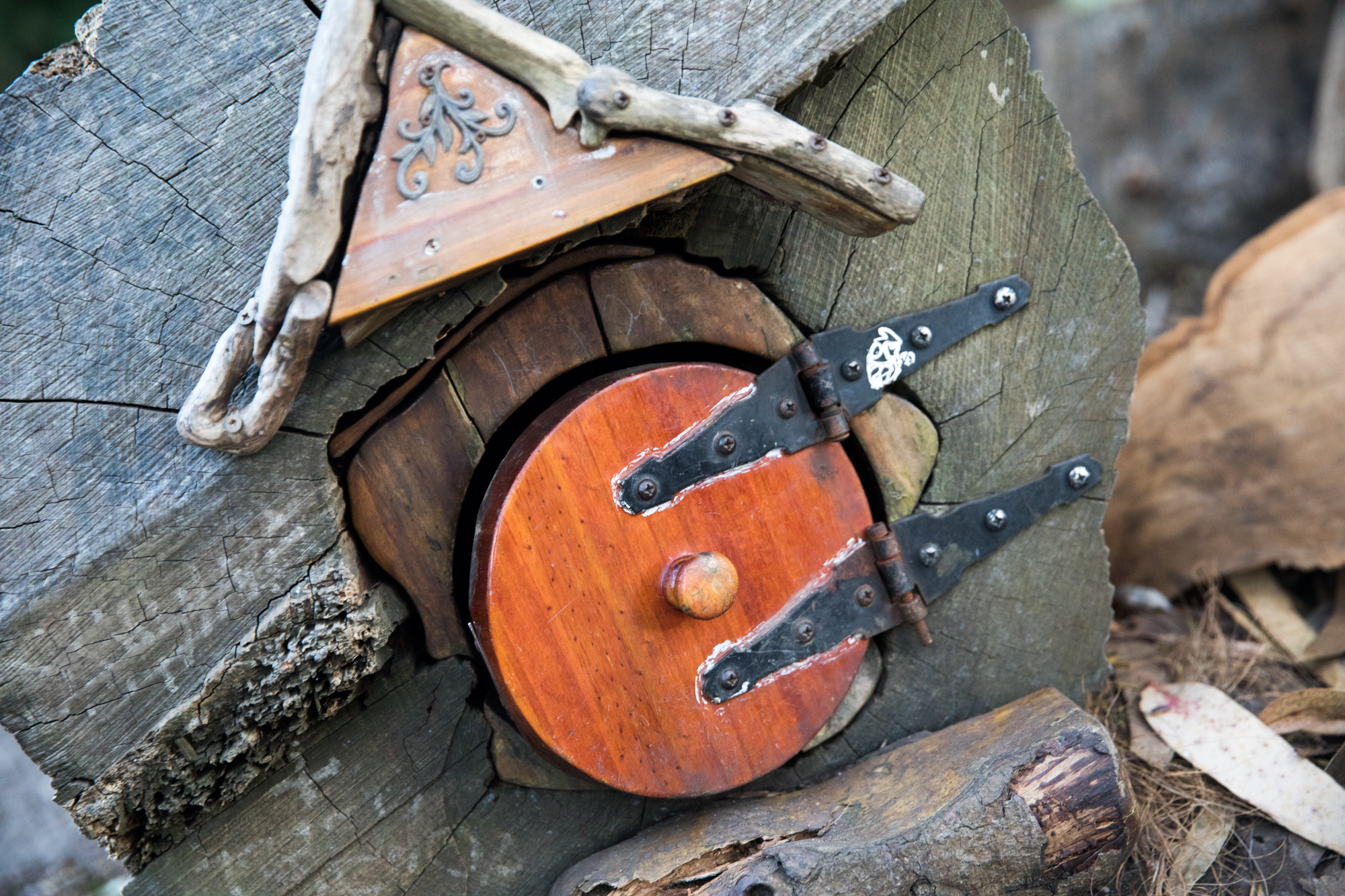 We wanted to find who makes SF's fairy doors. So we left a note in one - Vimarsana News