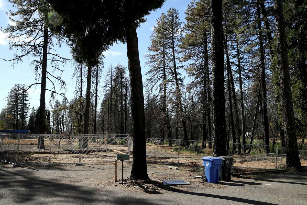 One Year Later, Before-and-after Photos Show Camp Fire's Enduring ...