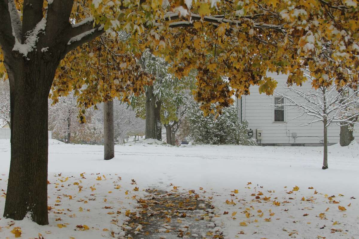 These are scenes from around the city of Manistee during Wednesday's snowfall.
