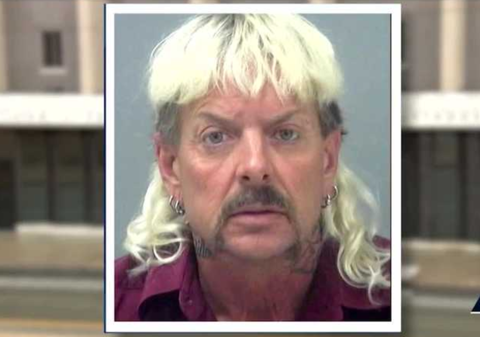 Story of rare animal owner, ﻿'Joe Exotic,' charged in ﻿murderforhire