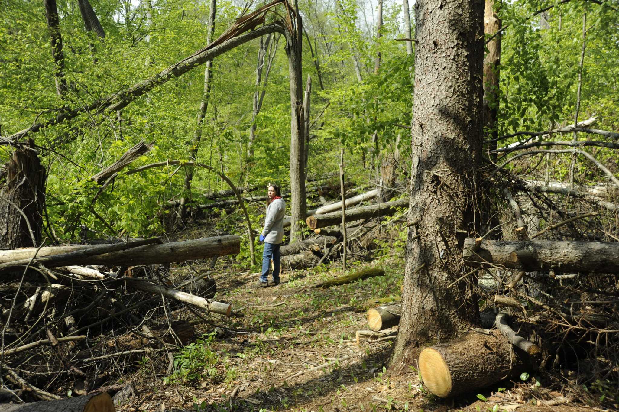 Kent, Brookfield land trusts announce legacy merger