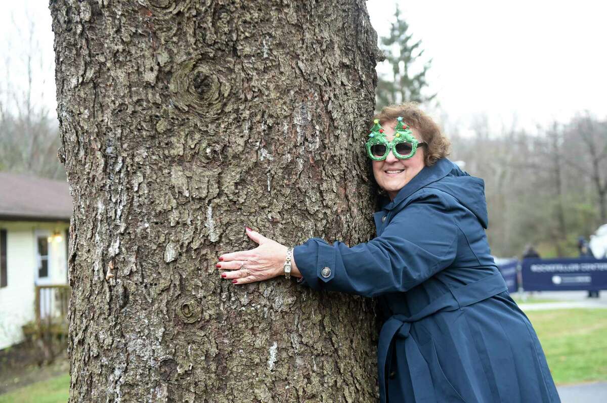 IMAGE DISTRIBUTED FOR TISHMAN SPEYER- Carol Schultz hugs the trunk of her 77-foot tall Norway Spruce that she donated to serve as this year's Rockefeller Center Christmas tree, Thursday, Nov. 7, 2019, in Florida, NY. The tree will be brought into New York City by flatbed truck and erected at Rockefeller Center on Saturday, Nov. 9. The 87thA Rockefeller Center Christmas Tree Lighting ceremony will take place on Wednesday, Dec. 4. (Diane Bondareff/AP Images for Tishman Speyer)