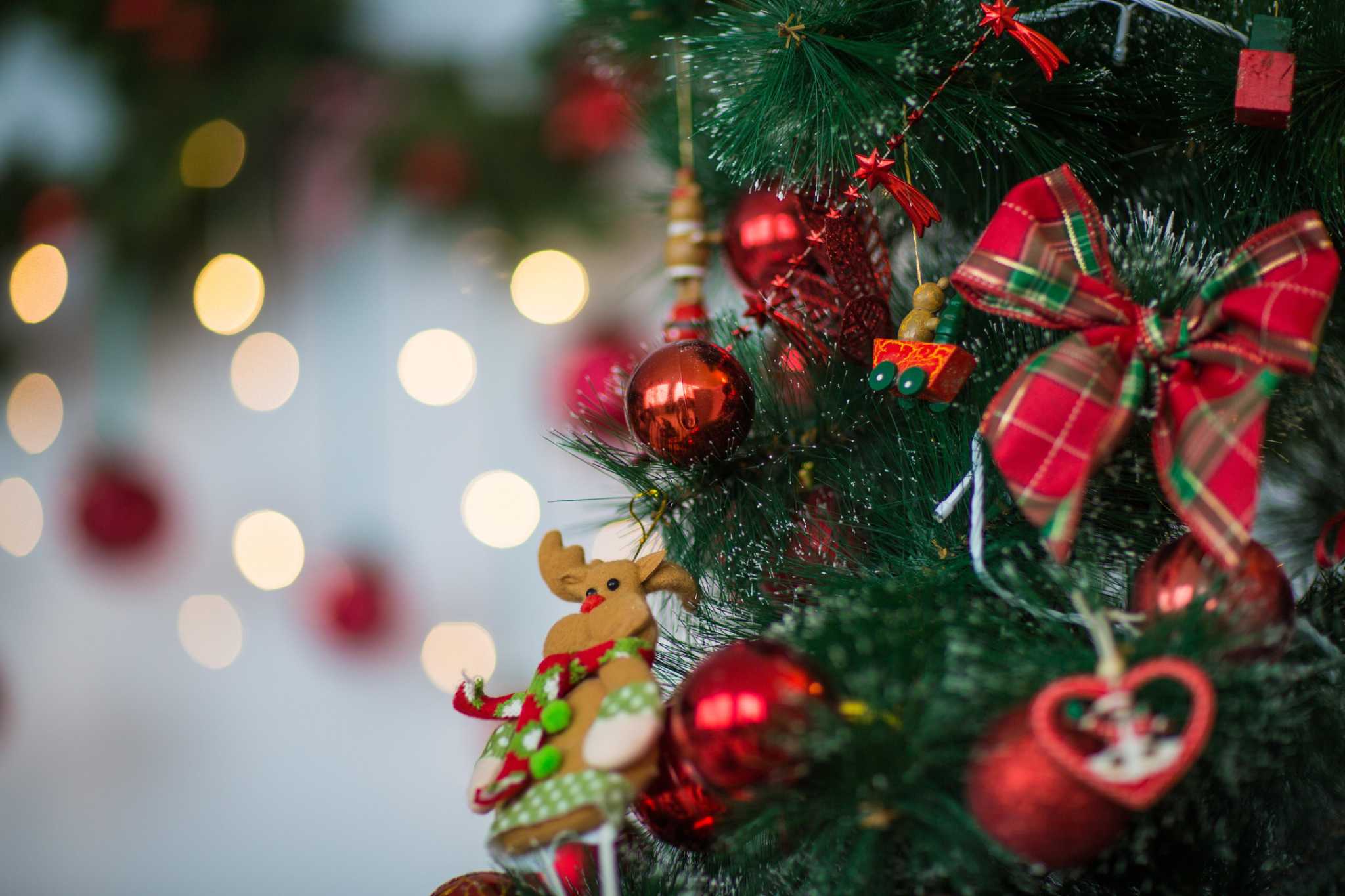 Festival of Trees benefiting The Ballard House returns to Katy’s Cane Island