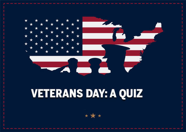 Veterans day decodable reader