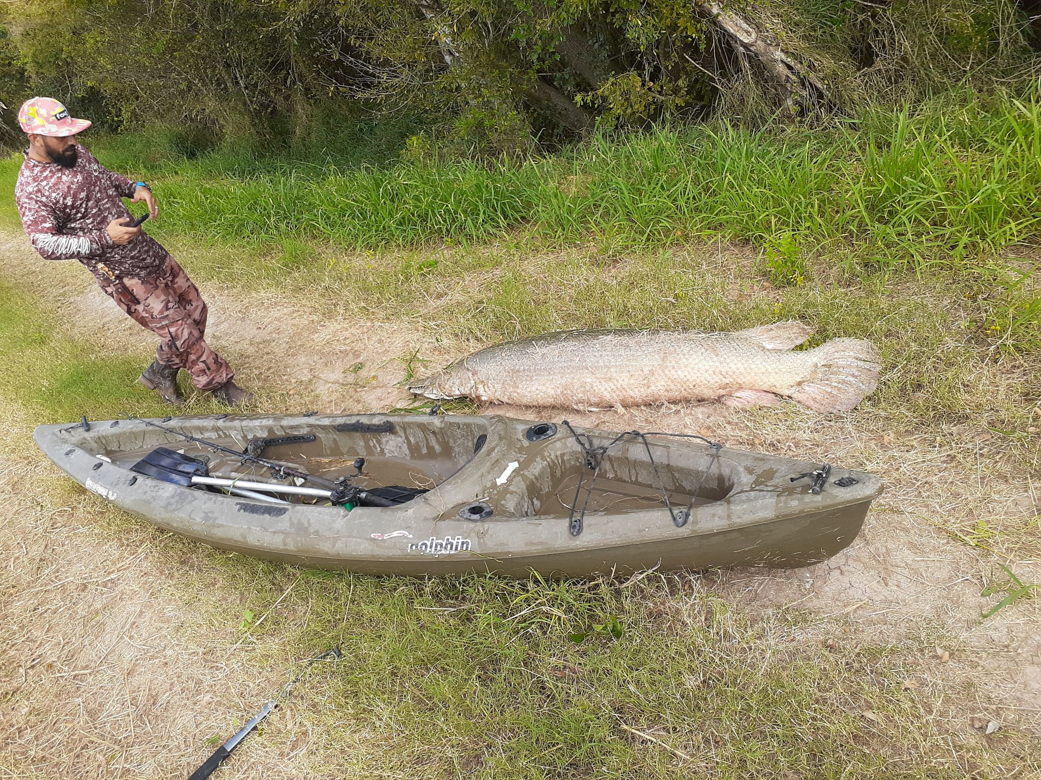 Texas man reels in 7foot, 200pound alligator gar while out fishing on