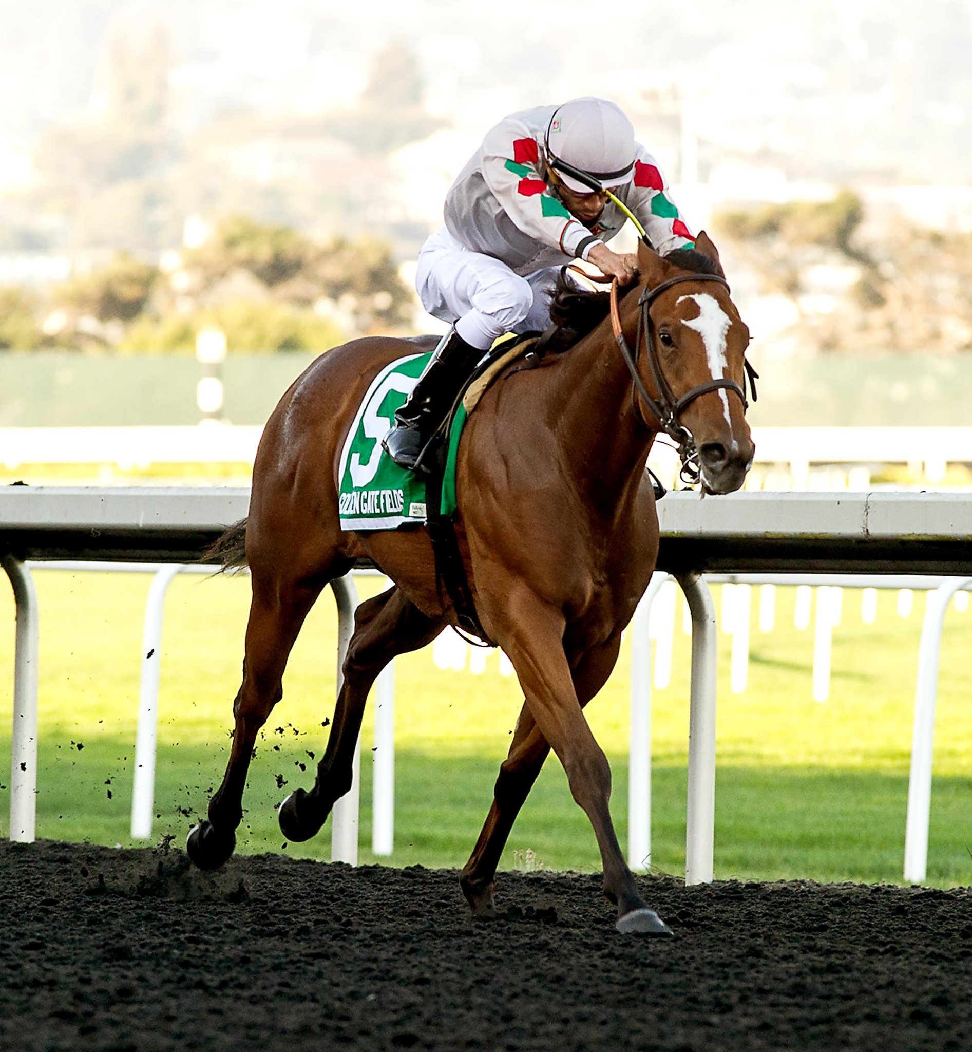 15-to-1 Bettor Trip Nick outruns favorites in Golden Nugget Stakes