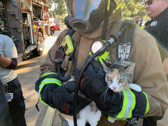 Volunteer Fire Department rescues multiple pets from Canyon Gate blaze