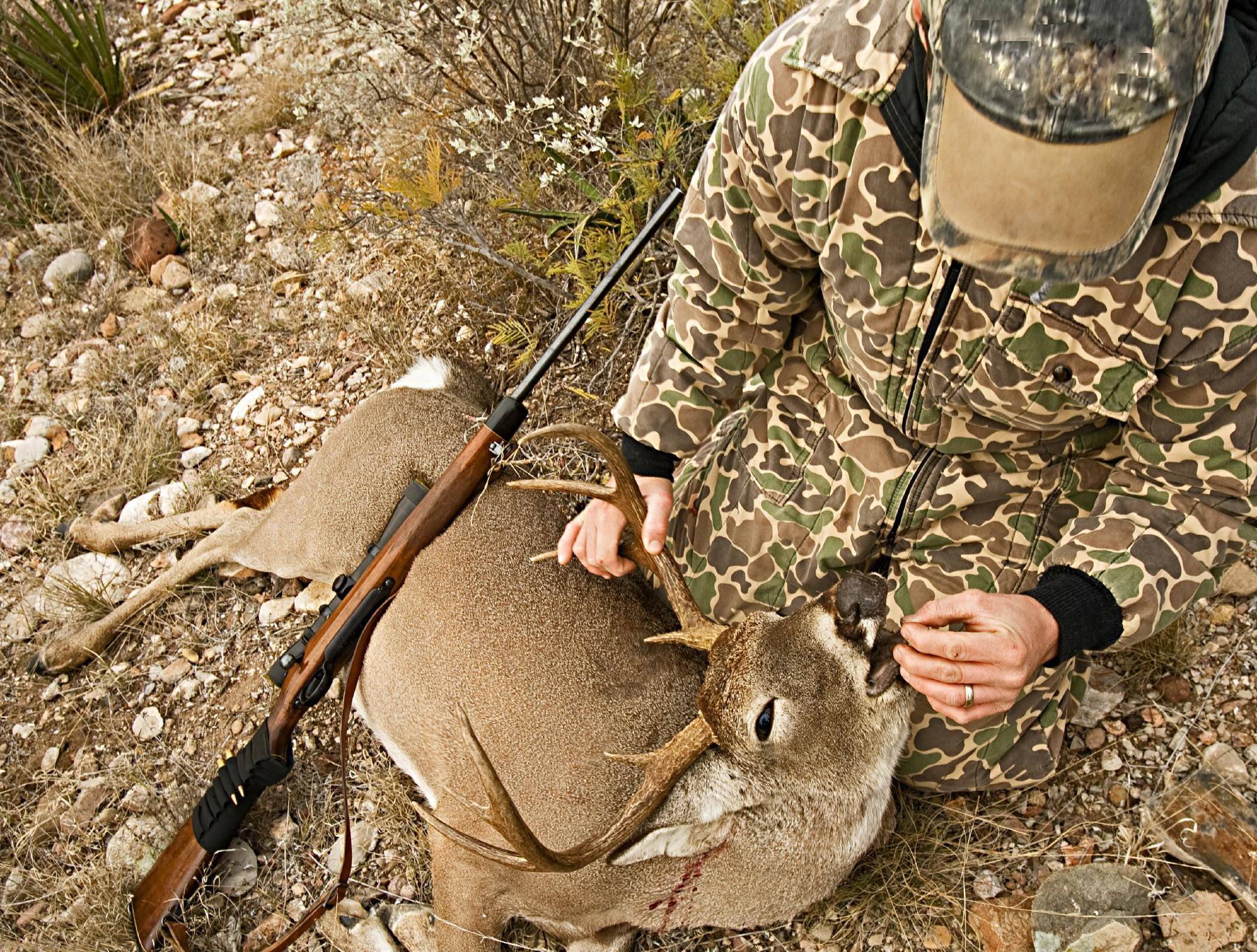 Deer hunters can donate deer meat to San Antonio Food Bank to help feed