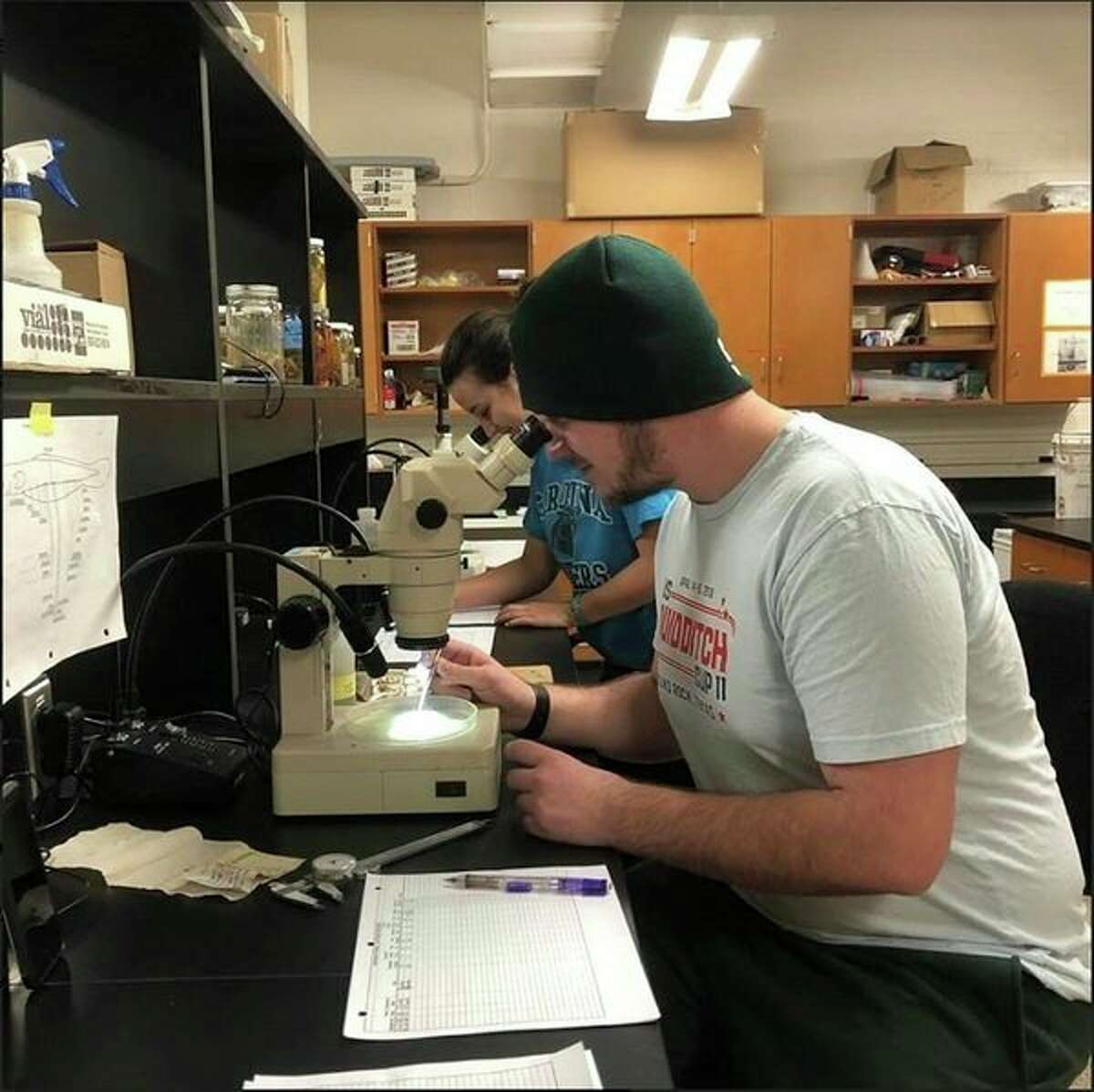 Undergraduate technicians Nick Yeager and Sharon Carpenter analyze smaller contents from fish guts in the lab. (Courtesy photo/Katie Kierczynski/Department of Fisheries and Wildlife/Michigan State University)