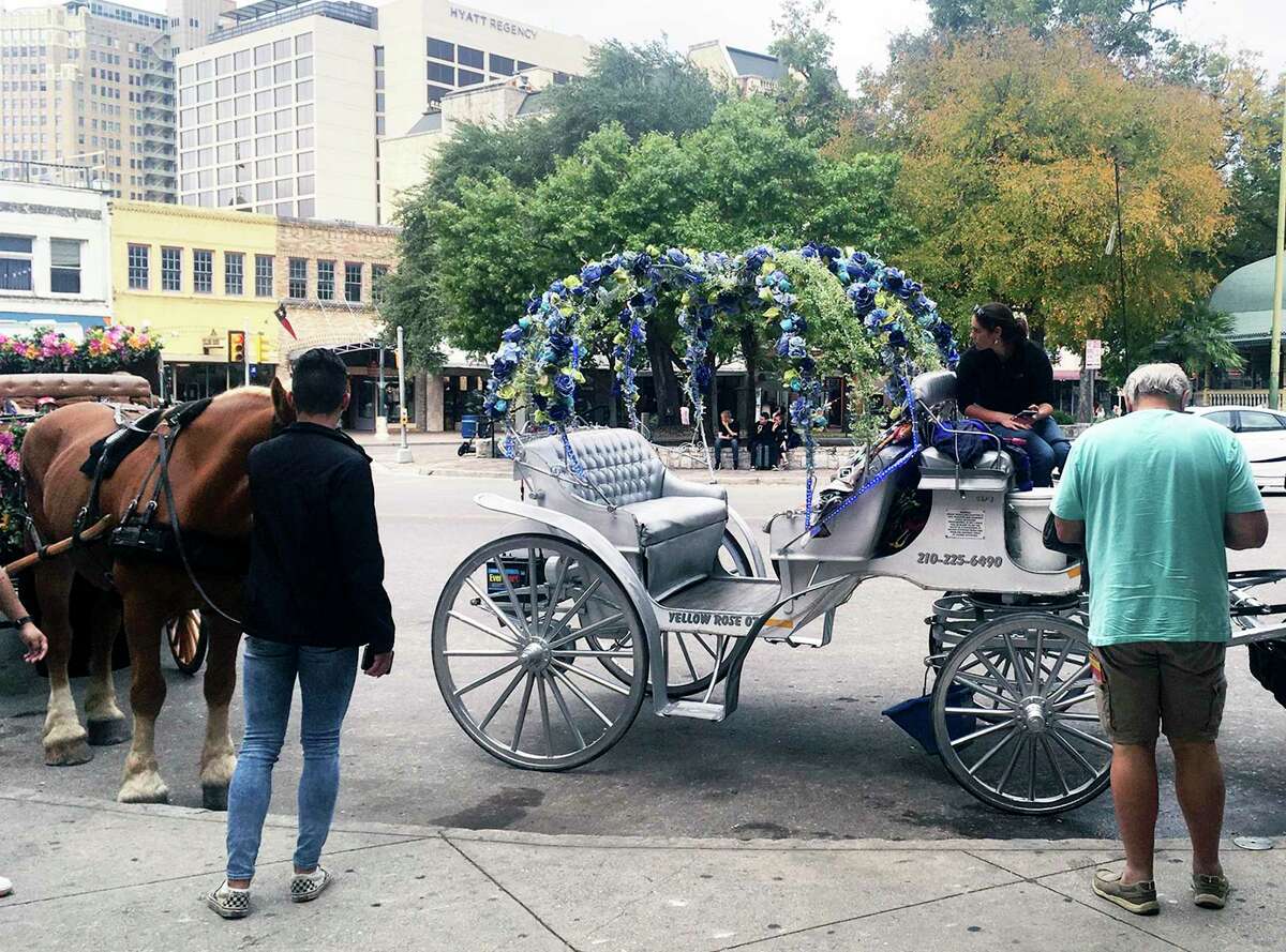 san-antonio-horse-drawn-carriage-company-gallops-into-bankruptcy-amid